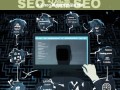 SEO 黑帽技术深度解析