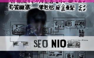 SEO 黑帽快速排名深度解析