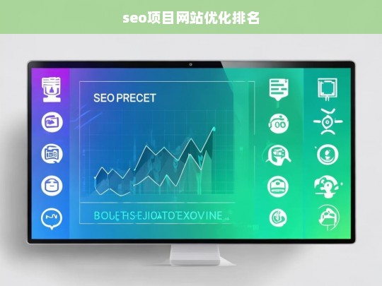 SEO项目网站优化排名策略与技巧全解析-第1张图片-威辛SEO网