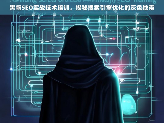 黑帽SEO实战技术培训，揭秘搜索引擎优化的灰色地带-第1张图片-威辛SEO网