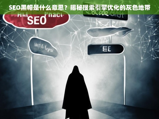 SEO黑帽揭秘，搜索引擎优化的灰色地带解析-第1张图片-威辛SEO网