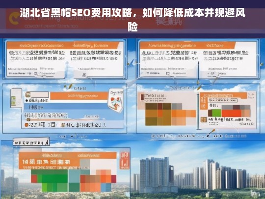 湖北省黑帽SEO费用优化指南，降低成本与风险规避策略-第1张图片-威辛SEO网