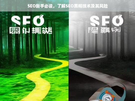 SEO黑帽技术详解，新手必知的风险与后果-第1张图片-威辛SEO网