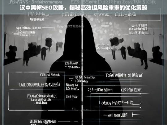 汉中黑帽SEO攻略，揭秘高效但风险重重的优化策略-第1张图片-威辛SEO网