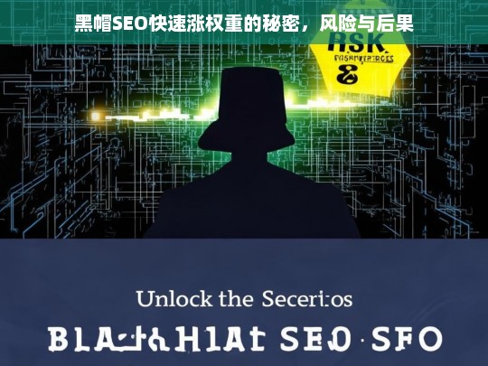 揭秘黑帽SEO快速涨权重的风险与后果-第1张图片-威辛SEO网