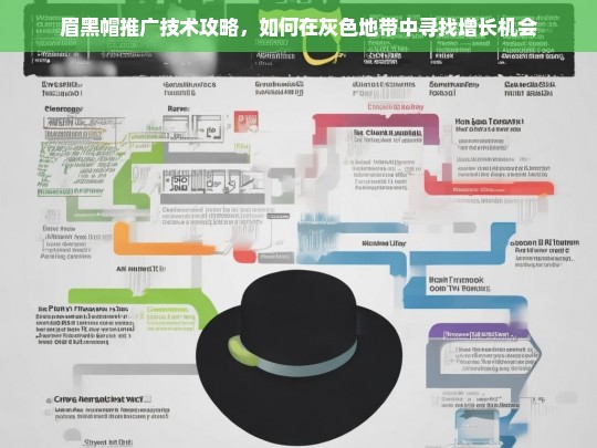 眉黑帽推广技术攻略，灰色地带中的增长机会与策略解析-第1张图片-威辛SEO网