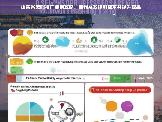 山东省黑帽推广费用优化指南，高效控制成本与提升效果的实用策略-第1张图片-威辛SEO网