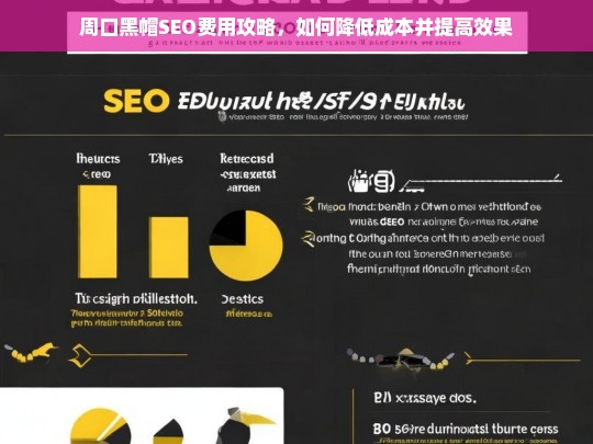 周口黑帽SEO费用优化指南，降低成本与提升效果的实用策略-第1张图片-威辛SEO网