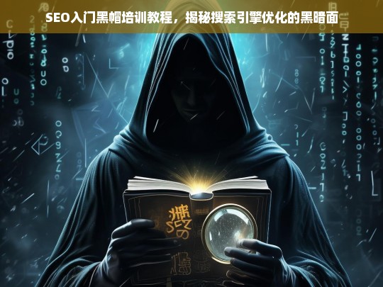 SEO黑帽培训教程，揭秘搜索引擎优化的黑暗面与风险-第1张图片-威辛SEO网