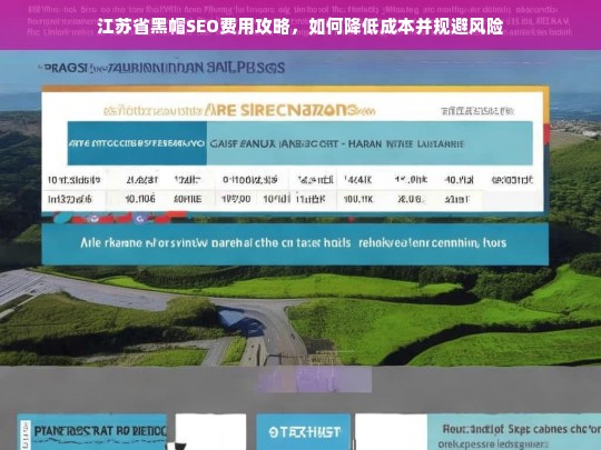 江苏省黑帽SEO费用优化指南，降低成本与规避风险的实用策略-第1张图片-威辛SEO网