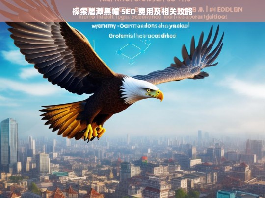 关于鹰潭黑帽 SEO 费用与攻略的探索-第1张图片-威辛SEO网