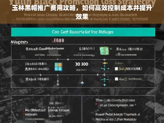 玉林黑帽推广费用优化指南，高效控制成本与提升效果策略-第1张图片-威辛SEO网