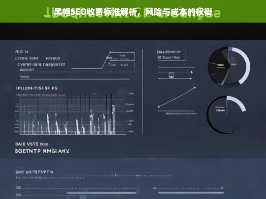 黑帽SEO收费标准解析，风险与成本的权衡-第1张图片-威辛SEO网