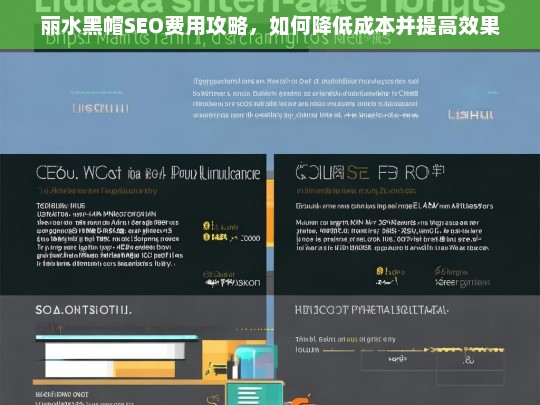 丽水黑帽SEO费用优化指南，降低成本与提升效果的实用策略-第1张图片-威辛SEO网
