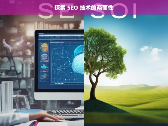 SEO 技术的两面性探索-第1张图片-威辛SEO网