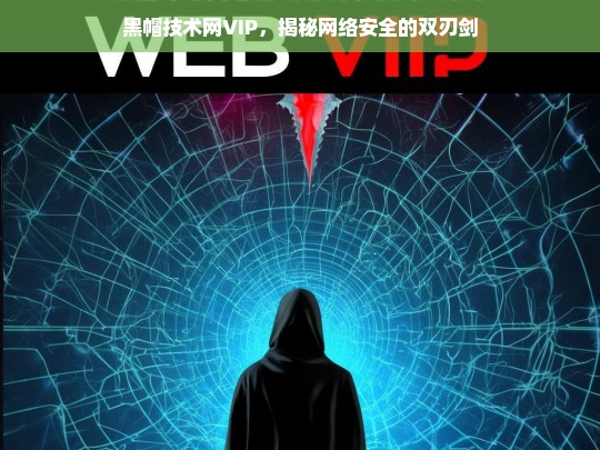 黑帽技术网VIP，揭秘网络安全的双刃剑-第1张图片-威辛SEO网