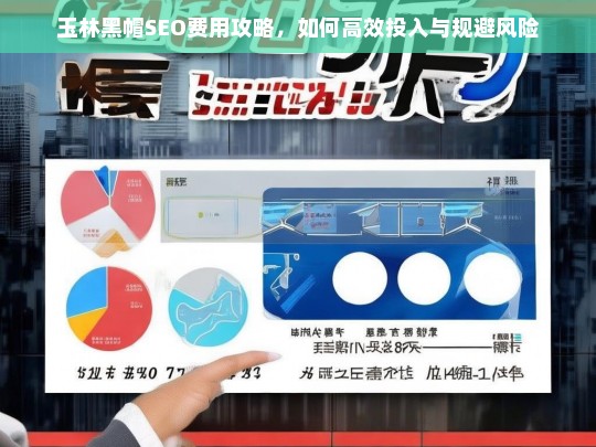 玉林黑帽SEO费用全解析，高效投入与风险规避指南-第1张图片-威辛SEO网