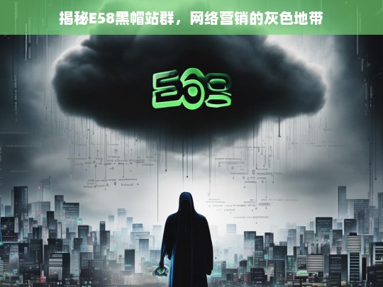 揭秘E58黑帽站群，网络营销的灰色地带与风险-第1张图片-威辛SEO网