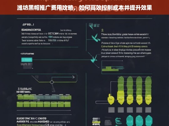 潍坊黑帽推广费用优化指南，高效控制成本与提升效果策略-第1张图片-威辛SEO网