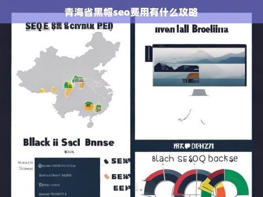 青海省黑帽SEO费用攻略，如何合理控制成本并提升效果-第1张图片-威辛SEO网