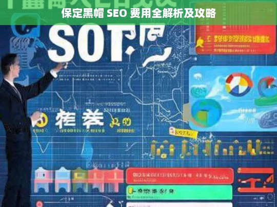 保定黑帽 SEO 费用解析与攻略-第1张图片-威辛SEO网