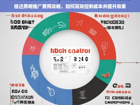 宿迁黑帽推广费用优化指南，高效控制成本与提升效果策略-第1张图片-威辛SEO网