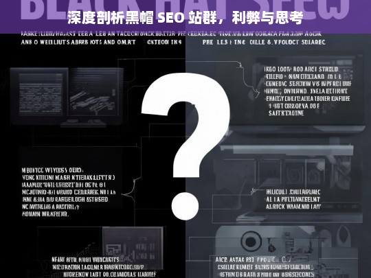 深度剖析黑帽 SEO 站群的利弊及思考-第1张图片-威辛SEO网