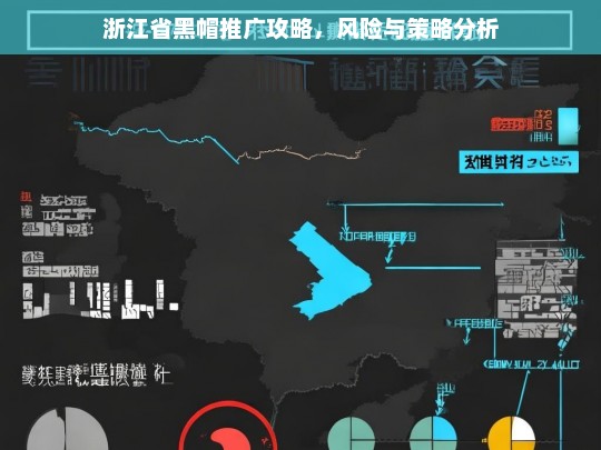 浙江省黑帽推广攻略，风险与策略深度解析-第1张图片-威辛SEO网