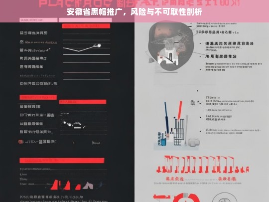 安徽省黑帽推广的风险及不可取性探讨-第1张图片-威辛SEO网