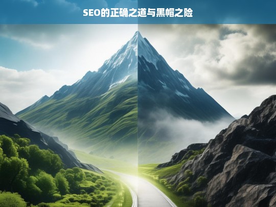 SEO 的正道与黑帽风险-第1张图片-威辛SEO网