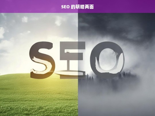 SEO 的明暗两面剖析-第1张图片-威辛SEO网