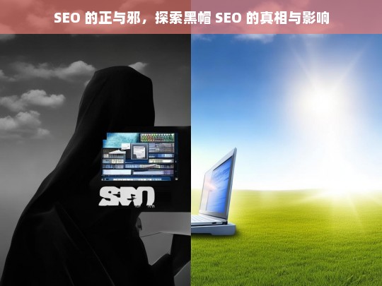 SEO 的正与邪，剖析黑帽 SEO 真相及影响-第1张图片-威辛SEO网