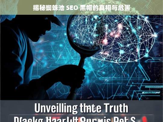 蜘蛛池 SEO 黑帽，真相与危害揭秘-第1张图片-威辛SEO网