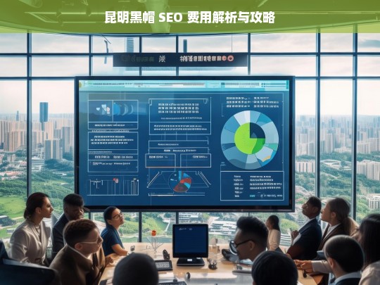 昆明黑帽 SEO 费用及攻略解析-第1张图片-威辛SEO网