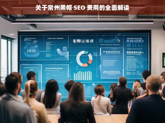 常州黑帽 SEO 费用全面解读-第1张图片-威辛SEO网