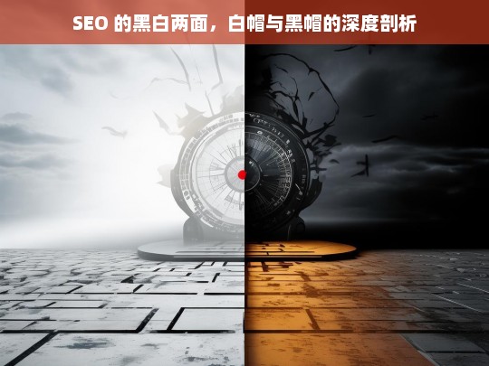 SEO 白帽与黑帽的深度解读，探究其黑白两面-第1张图片-威辛SEO网