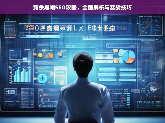 新余黑帽SEO攻略，全面解析与实战技巧-第1张图片-威辛SEO网