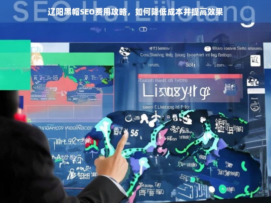 辽阳黑帽SEO费用优化指南，降低成本与提升效果的实用策略-第1张图片-威辛SEO网