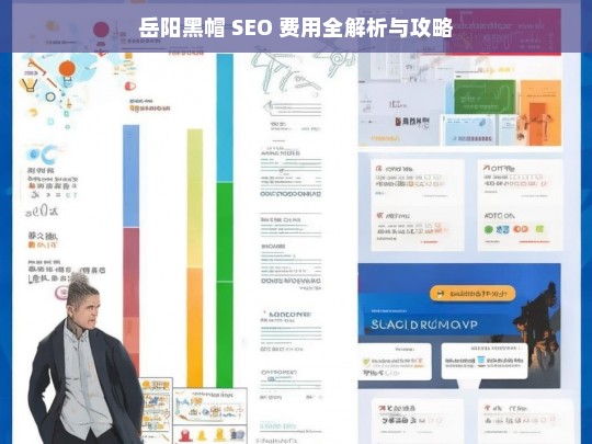 岳阳黑帽 SEO 费用解析及攻略-第1张图片-威辛SEO网