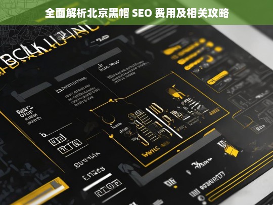 北京黑帽 SEO 费用与攻略全面解析-第1张图片-威辛SEO网