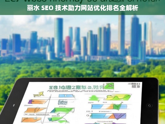 丽水 SEO 技术与网站优化排名解析-第1张图片-威辛SEO网