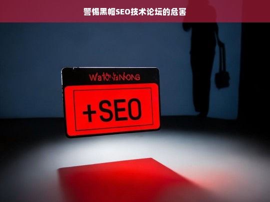 警惕！黑帽 SEO 技术论坛的潜在危害-第1张图片-威辛SEO网