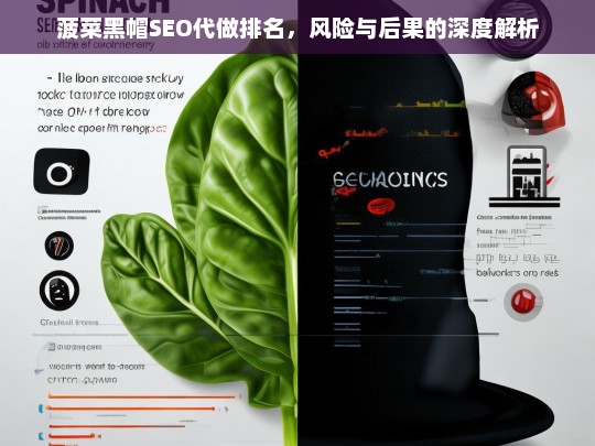 菠菜黑帽SEO代做排名的风险与后果深度解析-第1张图片-威辛SEO网