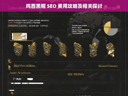 鸡西黑帽 SEO 费用与探讨-第1张图片-威辛SEO网