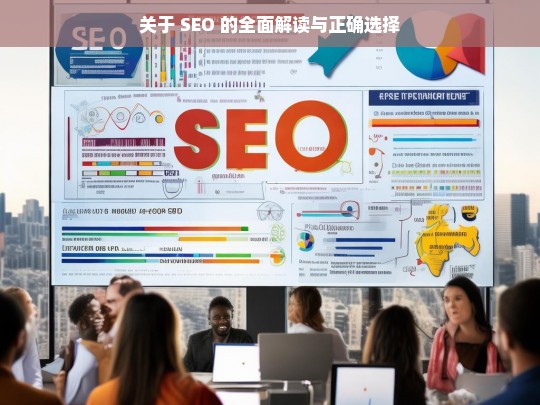 SEO 全面解读与正确选择剖析-第1张图片-威辛SEO网