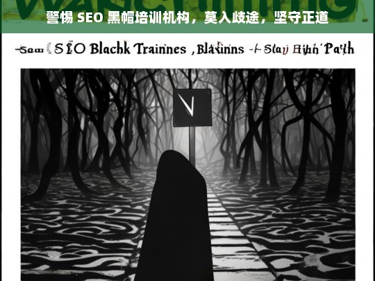 警惕 SEO 黑帽培训机构，坚守正道，远离歧途-第1张图片-威辛SEO网