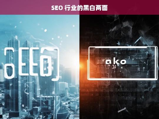 SEO 行业，黑白两面之析-第1张图片-威辛SEO网