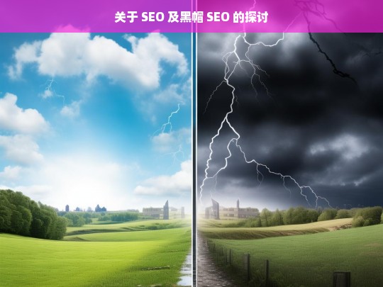 SEO 与黑帽 SEO 之探讨-第1张图片-威辛SEO网