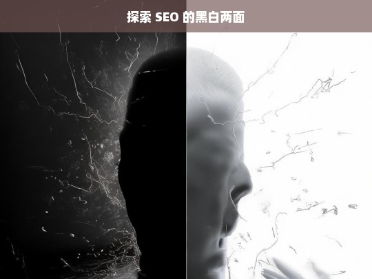 探索 SEO 的黑白两面，解析与洞察-第1张图片-威辛SEO网