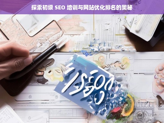 初级 SEO 培训与网站优化排名探秘-第1张图片-威辛SEO网